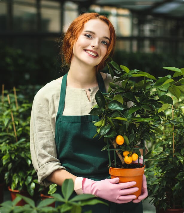 Keeping Your Indoor Garden Thriving